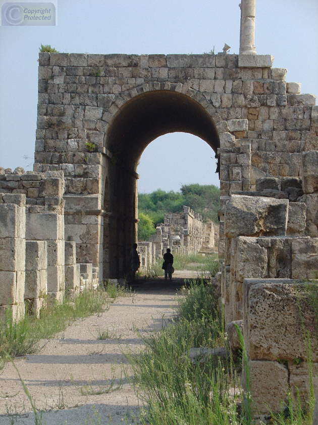 148 Roman Ruins in Tyre 